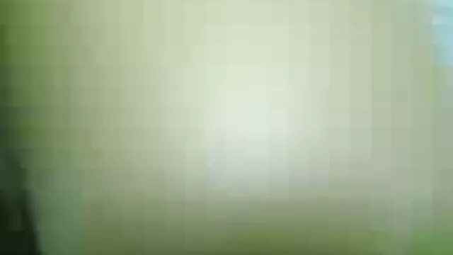 گربه سایت سوپر خارجی