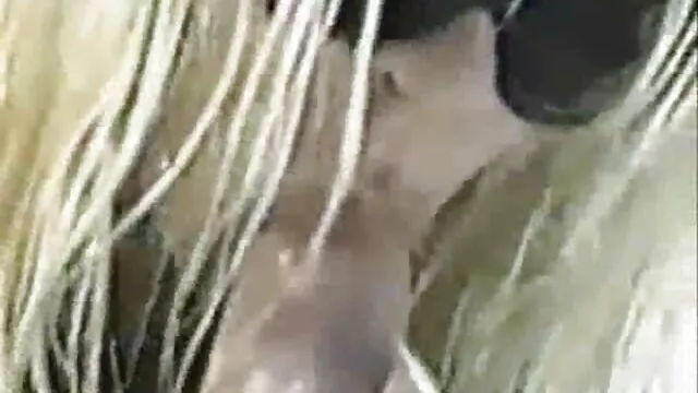 سبزه گرم برزیلی-جسیکا فیلم سوپر خارجی رایگان کوریا 2